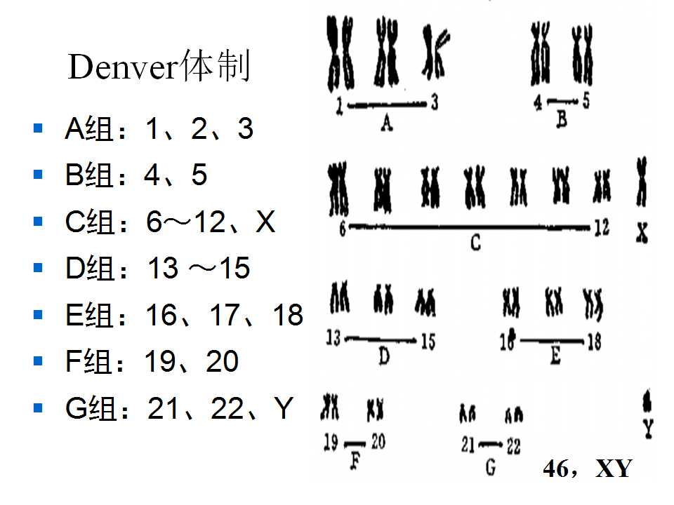幻灯片11.jpg
