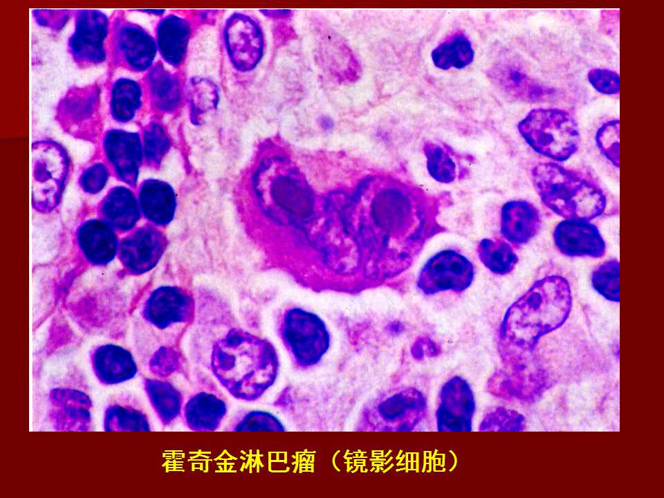 幻灯片16.jpg