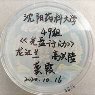 http://cxcy.upln.cn/provincial/sys/common/static/files/20210506/mjraeqrkqf_1620282800257.png