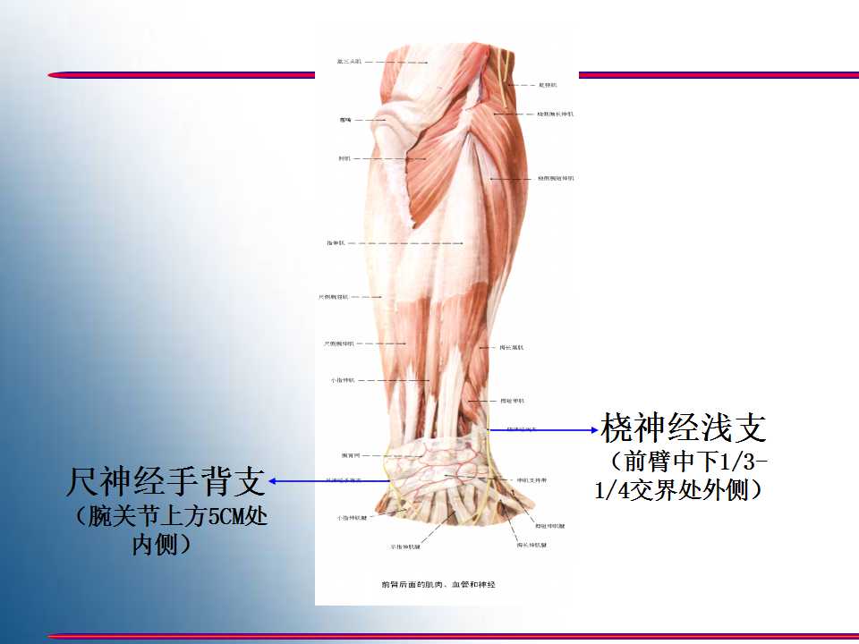 幻灯片8.jpg