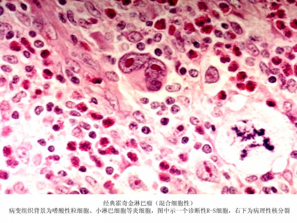 幻灯片15.jpg