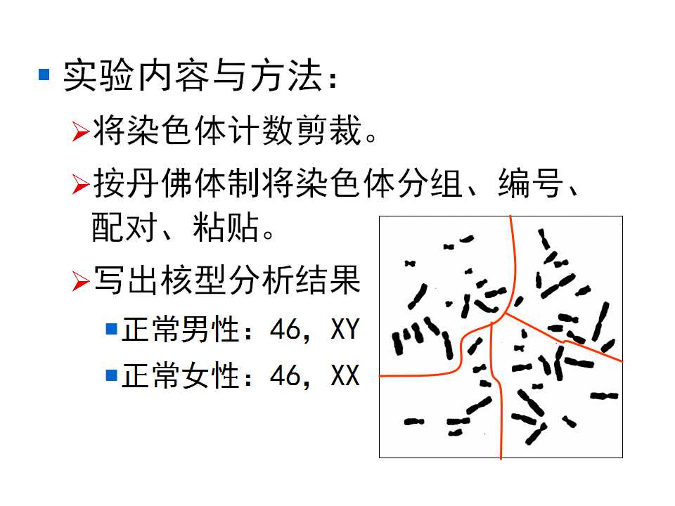 幻灯片10.jpg