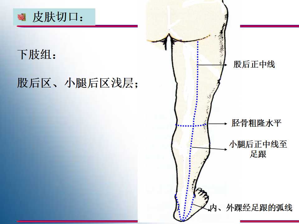 幻灯片3.jpg