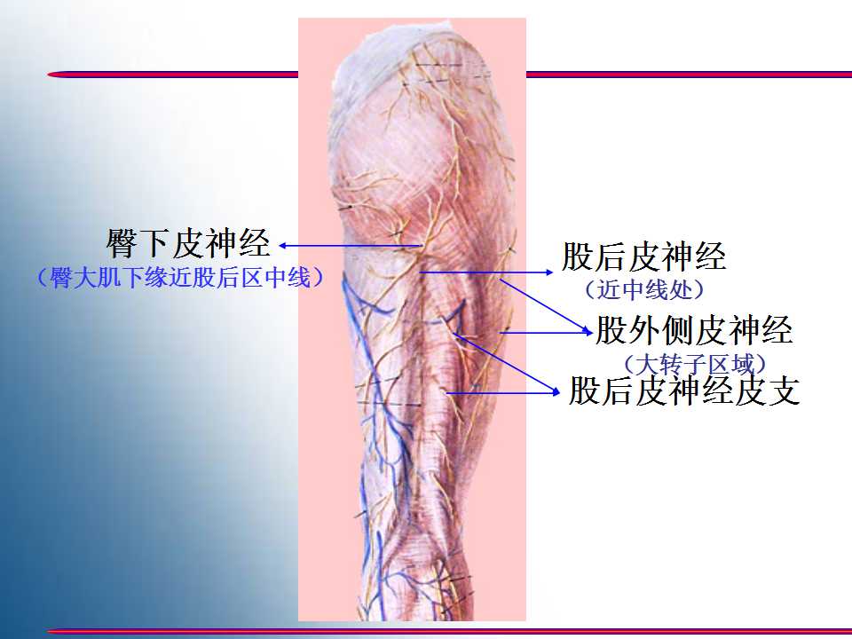 幻灯片10.jpg