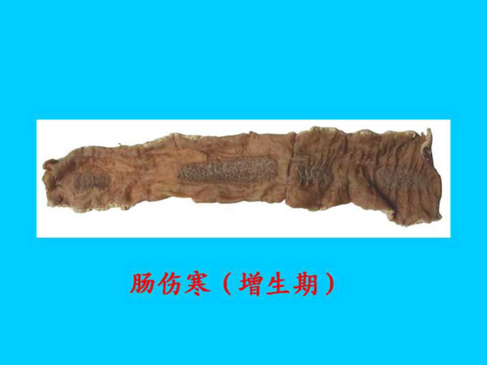 幻灯片3.jpg