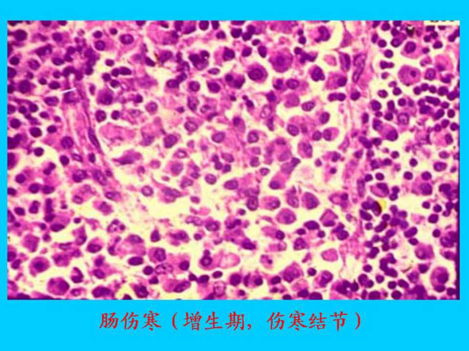 幻灯片5.jpg
