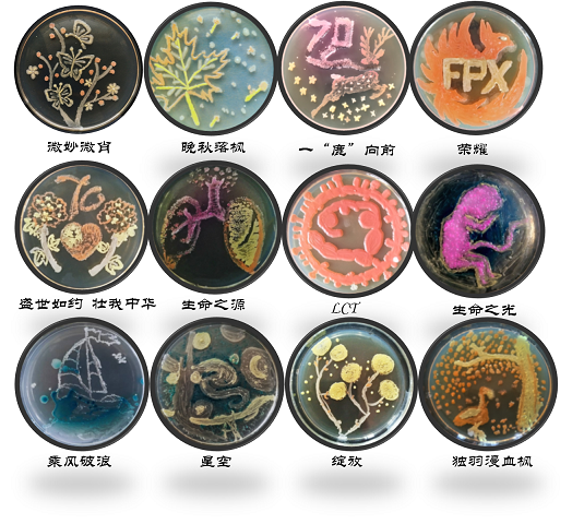 图片2 - 副本.png