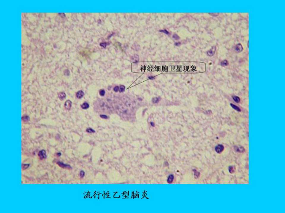 幻灯片8.jpg