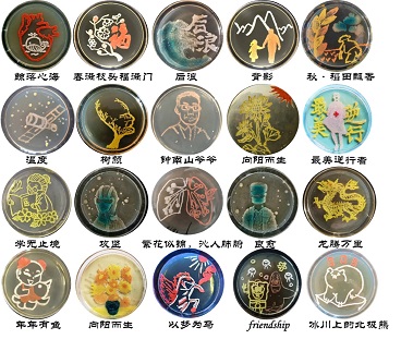 1609739468100040.jpg 图片111.jpg