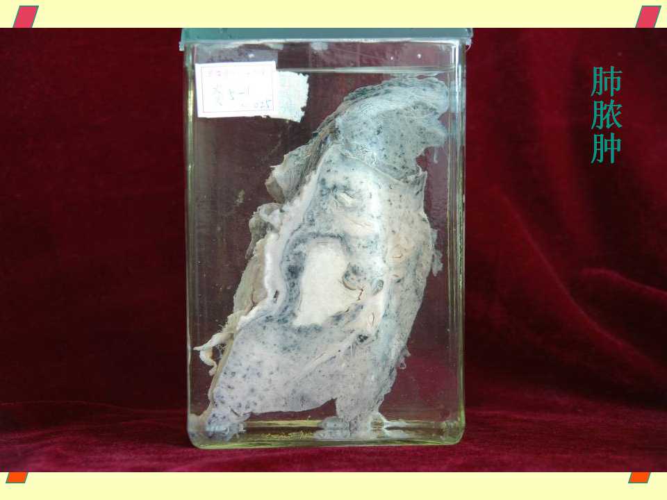 幻灯片31.jpg