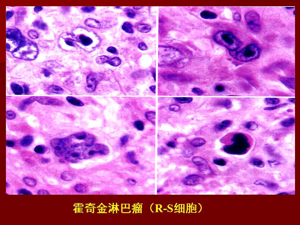 幻灯片17.jpg