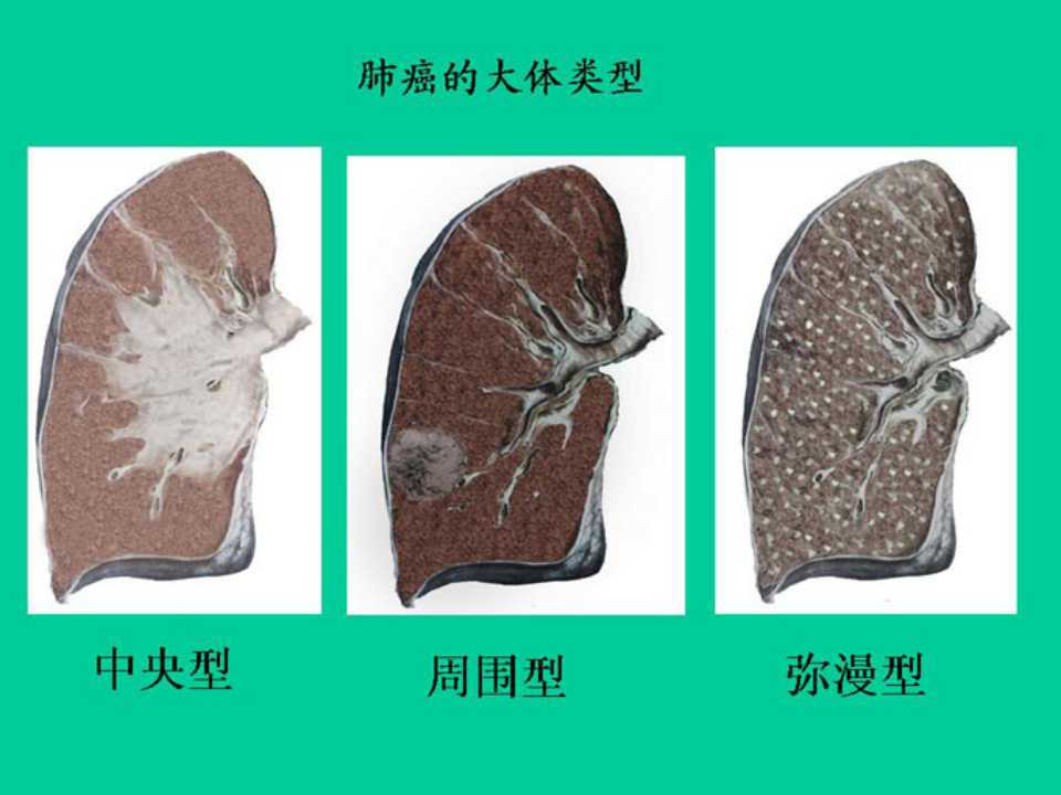 幻灯片16.jpg