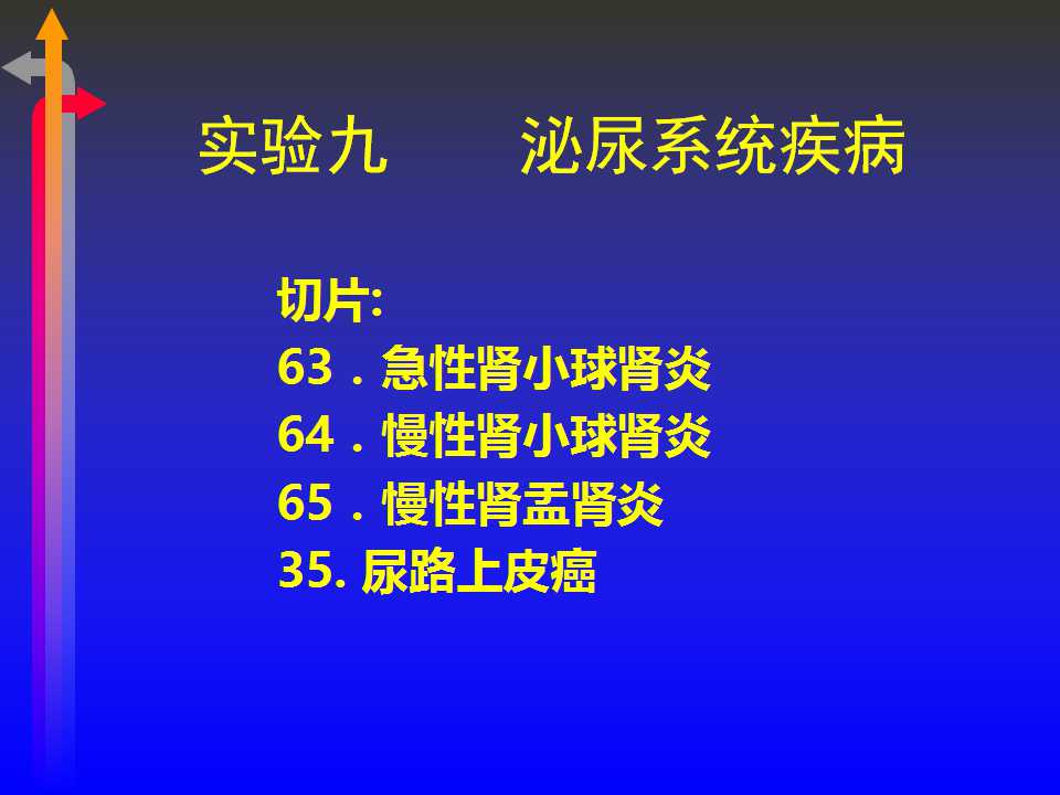 幻灯片1.jpg