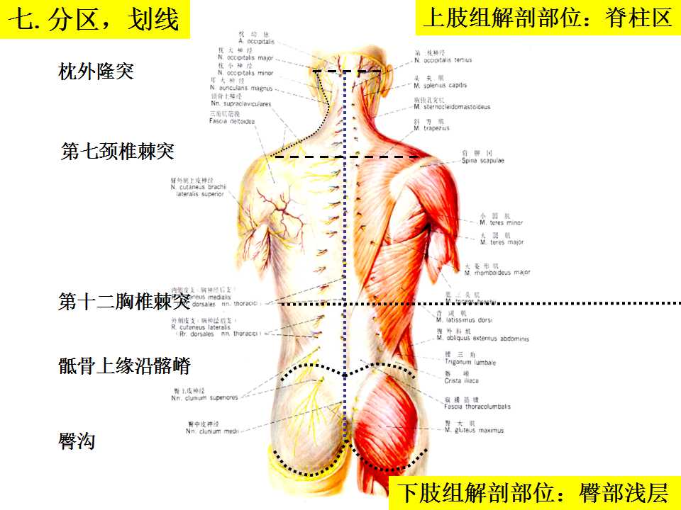 幻灯片9.jpg