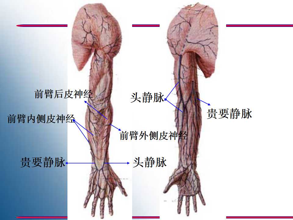 幻灯片7.jpg