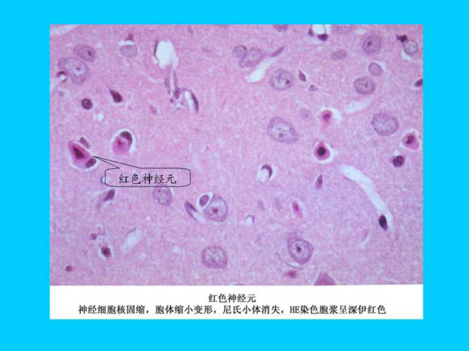 幻灯片7.jpg