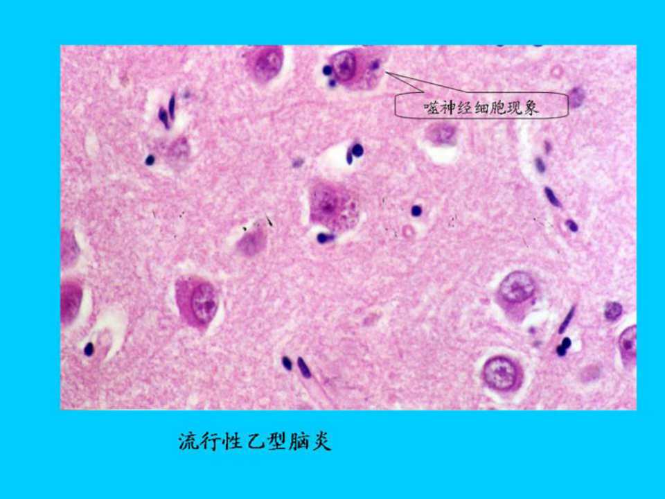 幻灯片9.jpg